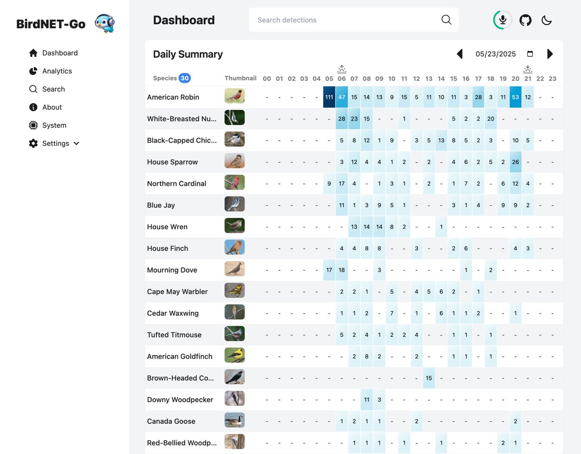 BirdNET-Go main dashboard
