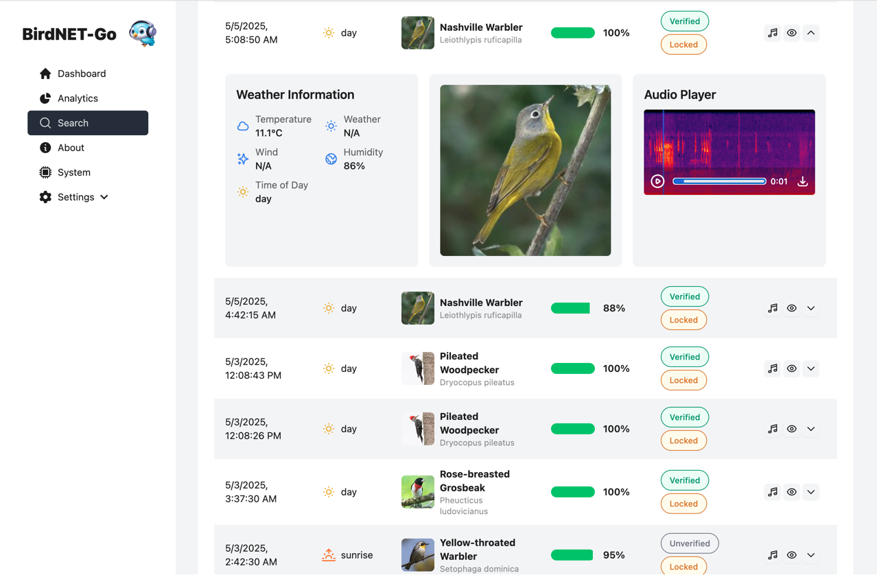 BirdNET-Go search dashboard